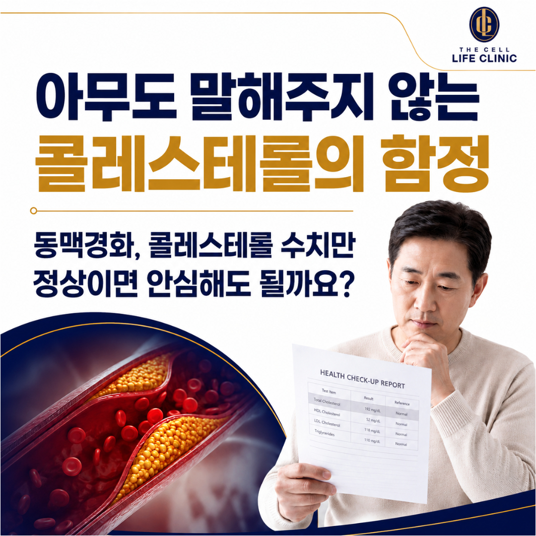 서울 양재역 동맥경화 검사, 콜레스테롤 수치만 정상이면 안심해도 될까요?
